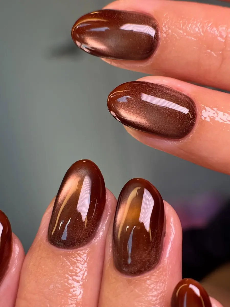 Chocolate Cat Eye Nails That Glow View