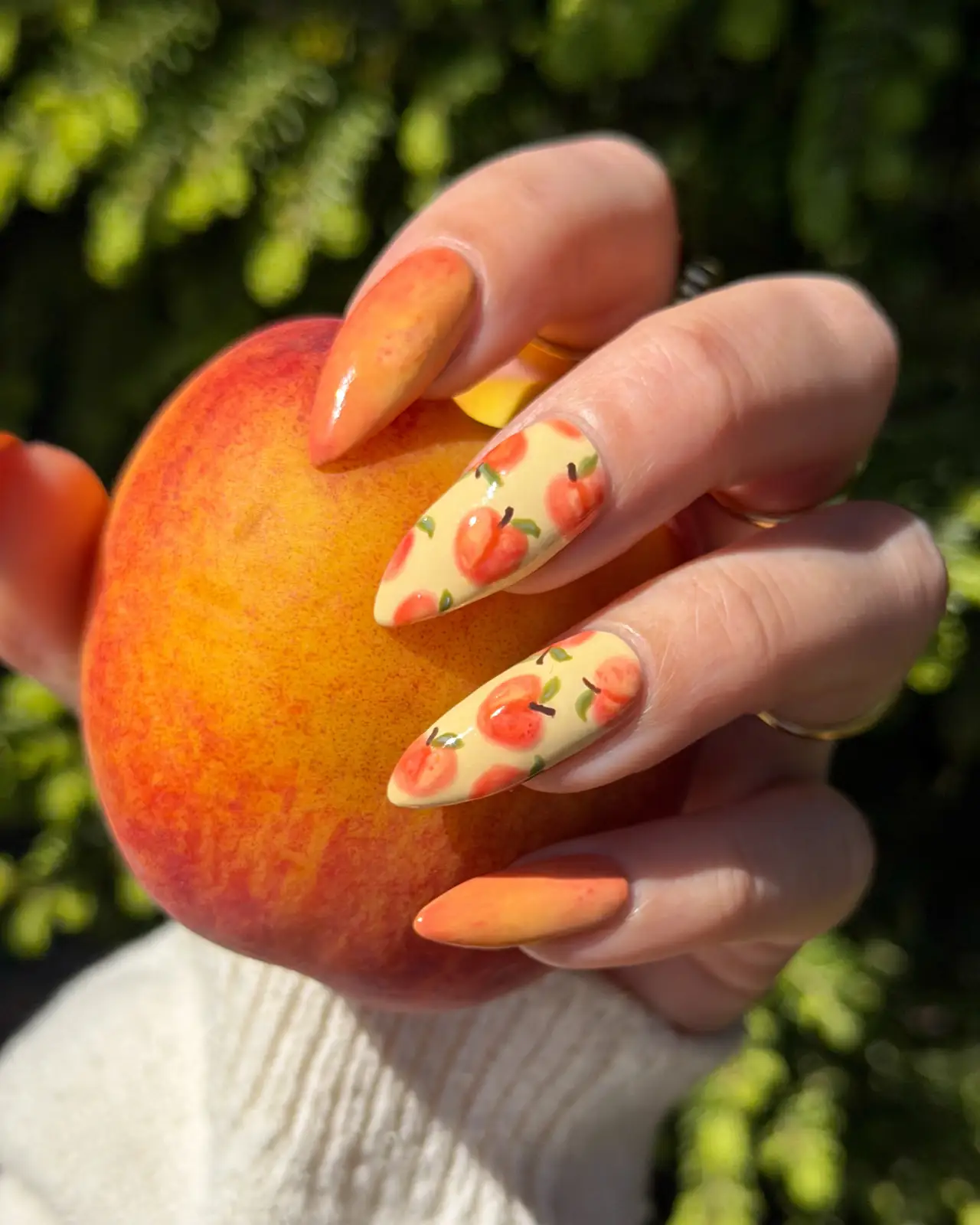 Peaches on Butter Yellow Thumbnail 6