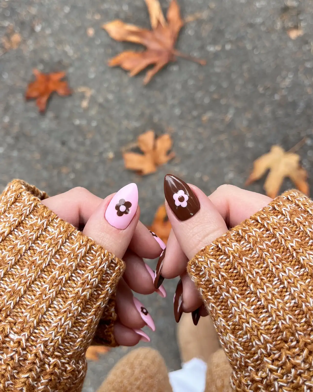 Pink And Brown Daisy Nails Main View