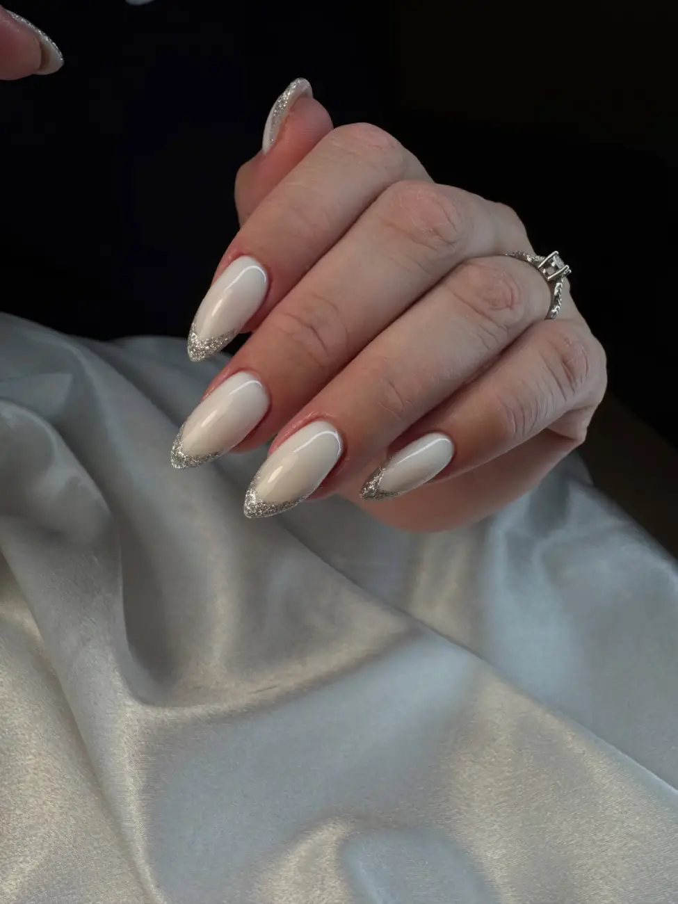 Silver Glitter French Tips Thumbnail 5