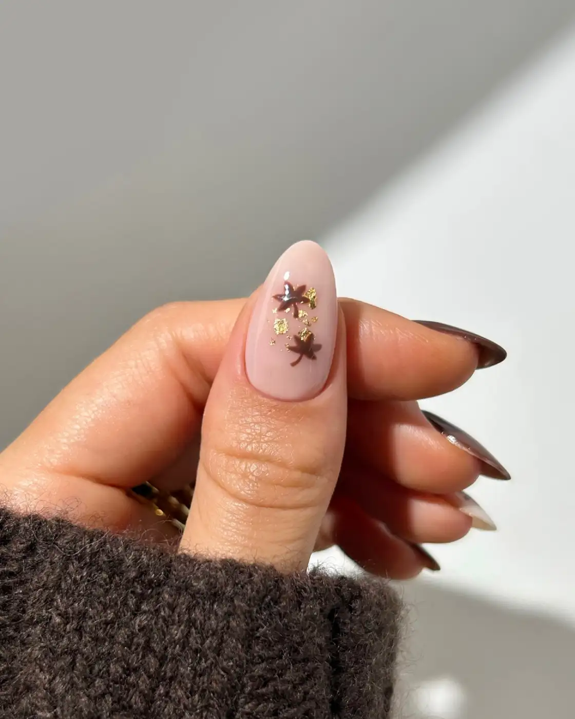 Chocolate Brown Nails With Fall Flowers inspiration - Inspiration 3